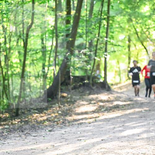 28.09.2025 - 33. Volkslauf durch das schöne Alstertal Dr. Thomas Lammeyer http://msf.ph/oto/8961776 28.09.2025 11:08:29 Laufen  meine-sportfotos.de