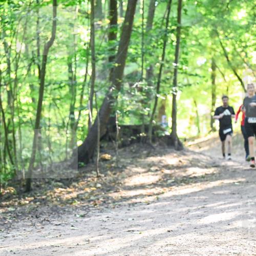 28.09.2025 - 33. Volkslauf durch das schöne Alstertal Dr. Thomas Lammeyer http://msf.ph/oto/8961777 28.09.2025 11:08:29 Laufen  meine-sportfotos.de