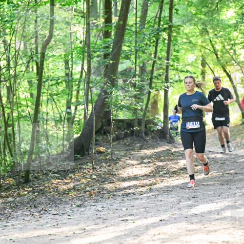 28.09.2025 - 33. Volkslauf durch das schöne Alstertal Dr. Thomas Lammeyer http://msf.ph/oto/8961786 28.09.2025 11:08:30 Laufen 3306, 13210, 3212 meine-sportfotos.de