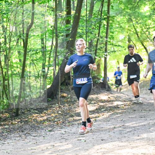 28.09.2025 - 33. Volkslauf durch das schöne Alstertal Dr. Thomas Lammeyer http://msf.ph/oto/8961791 28.09.2025 11:08:31 Laufen 3210, 3212, 3936 meine-sportfotos.de