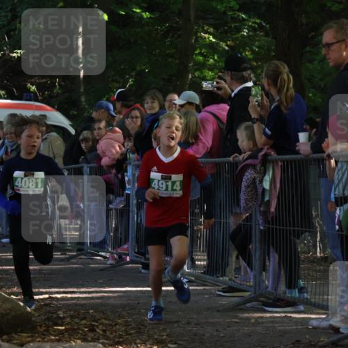 28.09.2025 - 33. Volkslauf durch das schöne Alstertal Strokosch-Dieckow http://msf.ph/oto/8961797 28.09.2025 10:56:41 Ziel 4065, 4069, 4081, 4914 meine-sportfotos.de