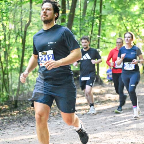 28.09.2025 - 33. Volkslauf durch das schöne Alstertal Dr. Thomas Lammeyer http://msf.ph/oto/8961801 28.09.2025 11:08:32 Laufen 3212, 3936 meine-sportfotos.de