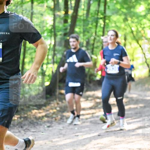 28.09.2025 - 33. Volkslauf durch das schöne Alstertal Dr. Thomas Lammeyer http://msf.ph/oto/8961802 28.09.2025 11:08:33 Laufen 3212 meine-sportfotos.de