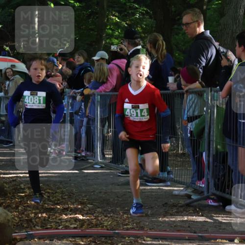 28.09.2025 - 33. Volkslauf durch das schöne Alstertal Strokosch-Dieckow http://msf.ph/oto/8961803 28.09.2025 10:56:41 Ziel 4065, 4069, 4081, 4914 meine-sportfotos.de