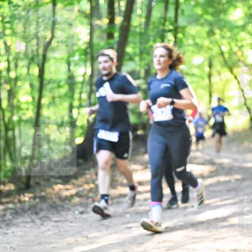28.09.2025 - 33. Volkslauf durch das schöne Alstertal Dr. Thomas Lammeyer http://msf.ph/oto/8961804 28.09.2025 11:08:33 Laufen  meine-sportfotos.de