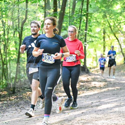28.09.2025 - 33. Volkslauf durch das schöne Alstertal Dr. Thomas Lammeyer http://msf.ph/oto/8961805 28.09.2025 11:08:33 Laufen 330, 3936, 3306 meine-sportfotos.de