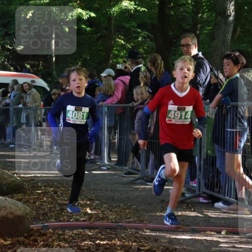 28.09.2025 - 33. Volkslauf durch das schöne Alstertal Strokosch-Dieckow http://msf.ph/oto/8961810 28.09.2025 10:56:42 Ziel 4065, 4069, 4081, 4914 meine-sportfotos.de