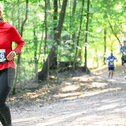 28.09.2025 - 33. Volkslauf durch das schöne Alstertal Dr. Thomas Lammeyer http://msf.ph/oto/8961814 28.09.2025 11:08:34 Laufen 3306 meine-sportfotos.de