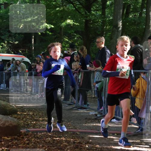 28.09.2025 - 33. Volkslauf durch das schöne Alstertal Strokosch-Dieckow http://msf.ph/oto/8961816 28.09.2025 10:56:42 Ziel 4065, 4069, 4081, 4914 meine-sportfotos.de