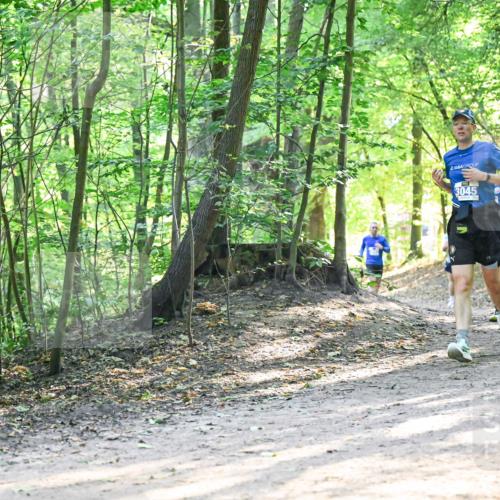 28.09.2025 - 33. Volkslauf durch das schöne Alstertal Dr. Thomas Lammeyer http://msf.ph/oto/8961817 28.09.2025 11:08:36 Laufen 3045 meine-sportfotos.de