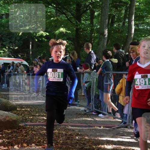 28.09.2025 - 33. Volkslauf durch das schöne Alstertal Strokosch-Dieckow http://msf.ph/oto/8961823 28.09.2025 10:56:42 Ziel 4065, 4069, 4081, 4914 meine-sportfotos.de