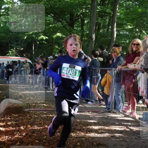 28.09.2025 - 33. Volkslauf durch das schöne Alstertal Strokosch-Dieckow http://msf.ph/oto/8961829 28.09.2025 10:56:43 Ziel 4065, 4069, 4081, 4914 meine-sportfotos.de