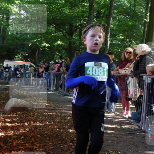 28.09.2025 - 33. Volkslauf durch das schöne Alstertal Strokosch-Dieckow http://msf.ph/oto/8961835 28.09.2025 10:56:43 Ziel 4065, 4069, 4081, 4914 meine-sportfotos.de