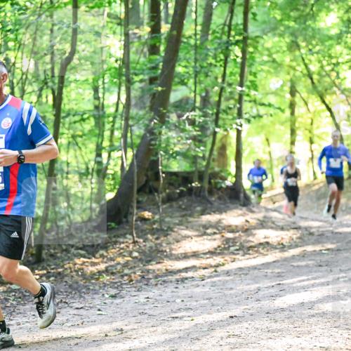 28.09.2025 - 33. Volkslauf durch das schöne Alstertal Dr. Thomas Lammeyer http://msf.ph/oto/8961843 28.09.2025 11:08:40 Laufen 3066 meine-sportfotos.de