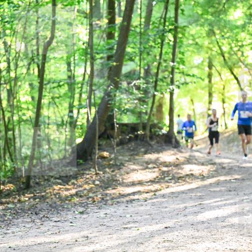 28.09.2025 - 33. Volkslauf durch das schöne Alstertal Dr. Thomas Lammeyer http://msf.ph/oto/8961844 28.09.2025 11:08:40 Laufen 166, 379 meine-sportfotos.de