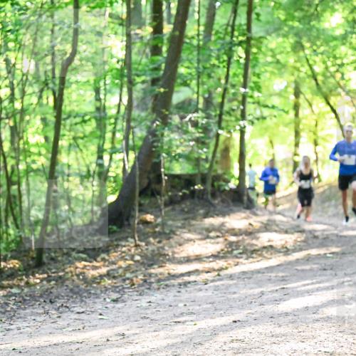 28.09.2025 - 33. Volkslauf durch das schöne Alstertal Dr. Thomas Lammeyer http://msf.ph/oto/8961846 28.09.2025 11:08:40 Laufen  meine-sportfotos.de