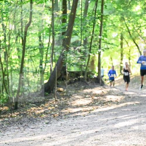 28.09.2025 - 33. Volkslauf durch das schöne Alstertal Dr. Thomas Lammeyer http://msf.ph/oto/8961847 28.09.2025 11:08:40 Laufen  meine-sportfotos.de