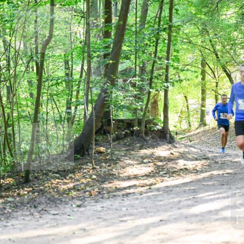 28.09.2025 - 33. Volkslauf durch das schöne Alstertal Dr. Thomas Lammeyer http://msf.ph/oto/8961848 28.09.2025 11:08:43 Laufen 0829, 6708 meine-sportfotos.de