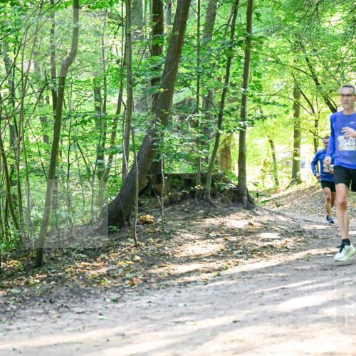 28.09.2025 - 33. Volkslauf durch das schöne Alstertal Dr. Thomas Lammeyer http://msf.ph/oto/8961849 28.09.2025 11:08:43 Laufen 3049, 280 meine-sportfotos.de