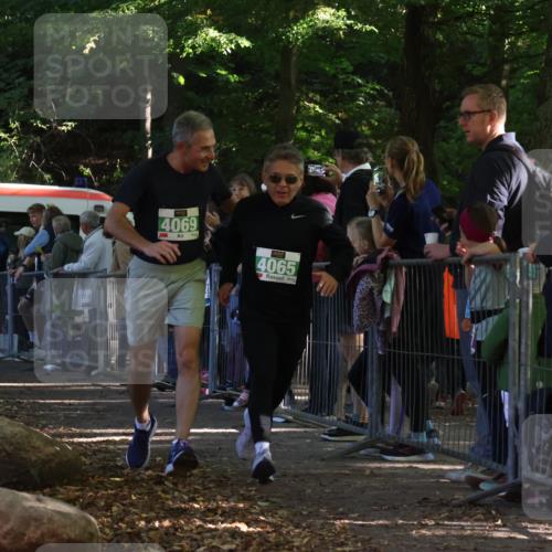 28.09.2025 - 33. Volkslauf durch das schöne Alstertal Strokosch-Dieckow http://msf.ph/oto/8961860 28.09.2025 10:56:47 Ziel 4065, 4069 meine-sportfotos.de