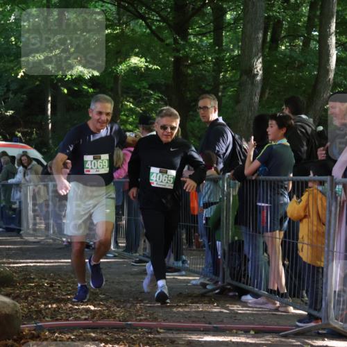 28.09.2025 - 33. Volkslauf durch das schöne Alstertal Strokosch-Dieckow http://msf.ph/oto/8961868 28.09.2025 10:56:48 Ziel 4048, 4065, 4069 meine-sportfotos.de