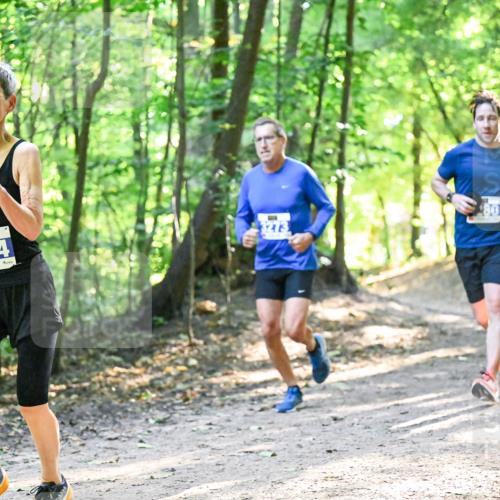 28.09.2025 - 33. Volkslauf durch das schöne Alstertal Dr. Thomas Lammeyer http://msf.ph/oto/8961871 28.09.2025 11:08:47 Laufen 3254, 80 meine-sportfotos.de