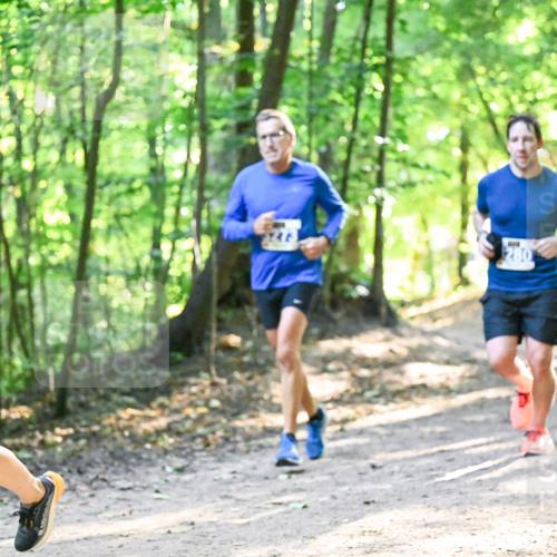 28.09.2025 - 33. Volkslauf durch das schöne Alstertal Dr. Thomas Lammeyer http://msf.ph/oto/8961872 28.09.2025 11:08:47 Laufen 3254 meine-sportfotos.de