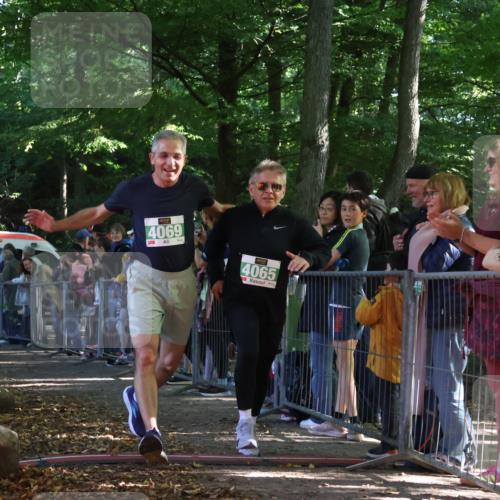 28.09.2025 - 33. Volkslauf durch das schöne Alstertal Strokosch-Dieckow http://msf.ph/oto/8961874 28.09.2025 10:56:48 Ziel 4048, 4065, 4069 meine-sportfotos.de