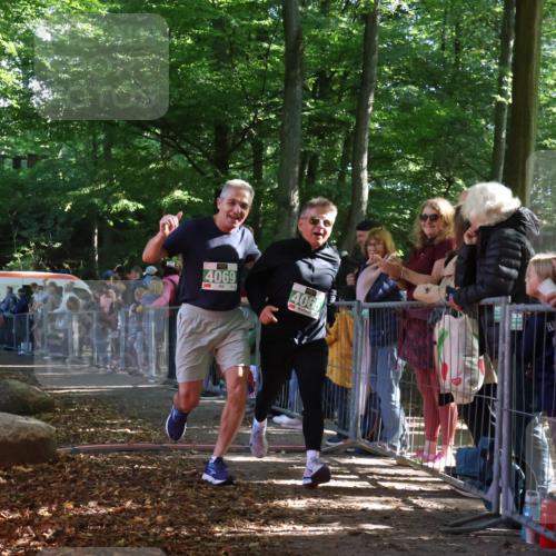 28.09.2025 - 33. Volkslauf durch das schöne Alstertal Strokosch-Dieckow http://msf.ph/oto/8961877 28.09.2025 10:56:49 Ziel 4023, 4048, 4065, 4069 meine-sportfotos.de