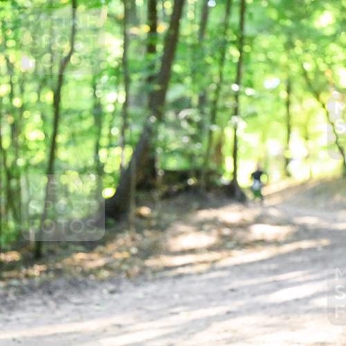 28.09.2025 - 33. Volkslauf durch das schöne Alstertal Dr. Thomas Lammeyer http://msf.ph/oto/8961883 28.09.2025 11:08:49 Laufen  meine-sportfotos.de