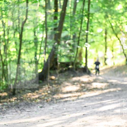28.09.2025 - 33. Volkslauf durch das schöne Alstertal Dr. Thomas Lammeyer http://msf.ph/oto/8961885 28.09.2025 11:08:49 Laufen  meine-sportfotos.de
