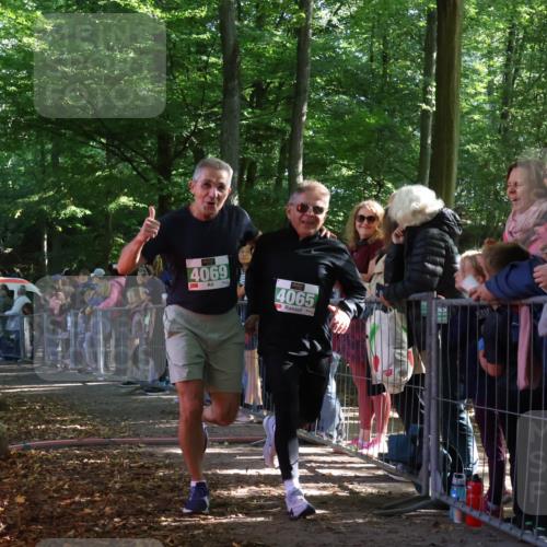 28.09.2025 - 33. Volkslauf durch das schöne Alstertal Strokosch-Dieckow http://msf.ph/oto/8961886 28.09.2025 10:56:49 Ziel 4023, 4048, 4065, 4069 meine-sportfotos.de