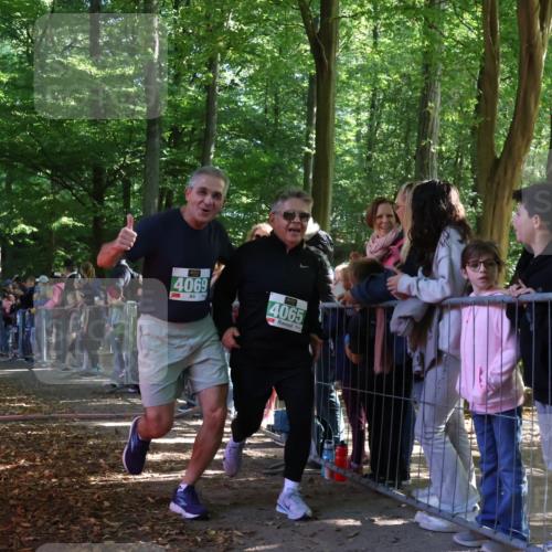 28.09.2025 - 33. Volkslauf durch das schöne Alstertal Strokosch-Dieckow http://msf.ph/oto/8961894 28.09.2025 10:56:50 Ziel 4023, 4048, 4065, 4069 meine-sportfotos.de