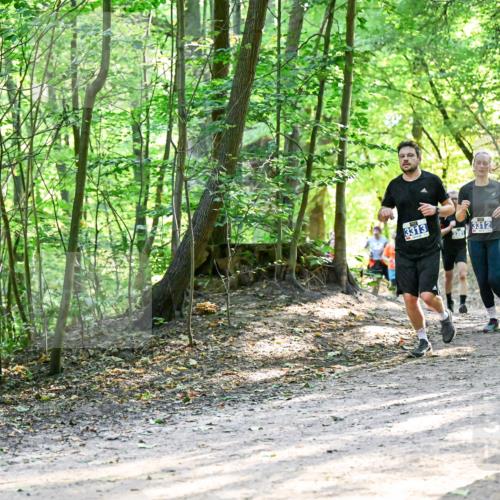 28.09.2025 - 33. Volkslauf durch das schöne Alstertal Dr. Thomas Lammeyer http://msf.ph/oto/8961916 28.09.2025 11:09:09 Laufen 3313, 2391, 3312 meine-sportfotos.de