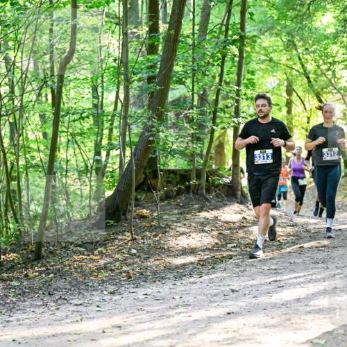 28.09.2025 - 33. Volkslauf durch das schöne Alstertal Dr. Thomas Lammeyer http://msf.ph/oto/8961919 28.09.2025 11:09:09 Laufen 3313, 3312 meine-sportfotos.de