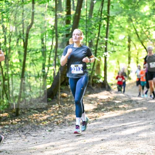 28.09.2025 - 33. Volkslauf durch das schöne Alstertal Dr. Thomas Lammeyer http://msf.ph/oto/8961935 28.09.2025 11:09:11 Laufen 3313, 3312 meine-sportfotos.de
