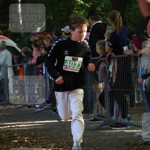 28.09.2025 - 33. Volkslauf durch das schöne Alstertal Strokosch-Dieckow http://msf.ph/oto/8961939 28.09.2025 10:56:57 Ziel 4023, 4048, 4055, 4186, 4187 meine-sportfotos.de