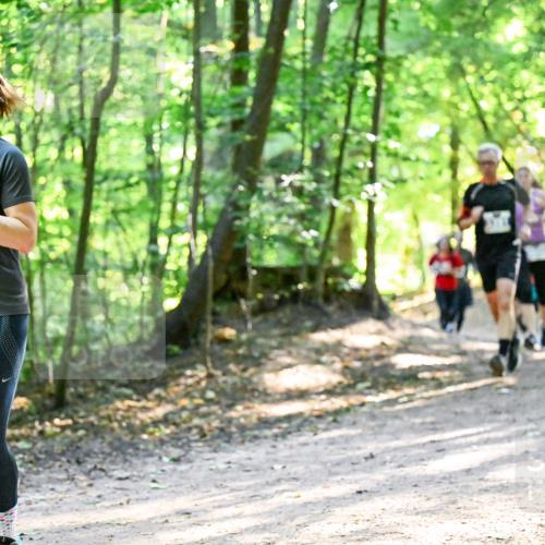 28.09.2025 - 33. Volkslauf durch das schöne Alstertal Dr. Thomas Lammeyer http://msf.ph/oto/8961943 28.09.2025 11:09:12 Laufen 3312 meine-sportfotos.de