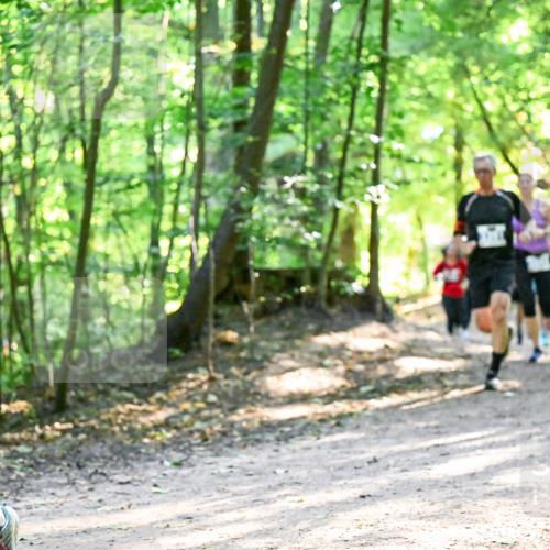 28.09.2025 - 33. Volkslauf durch das schöne Alstertal Dr. Thomas Lammeyer http://msf.ph/oto/8961945 28.09.2025 11:09:12 Laufen 12 meine-sportfotos.de