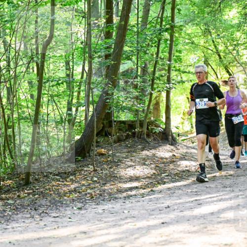 28.09.2025 - 33. Volkslauf durch das schöne Alstertal Dr. Thomas Lammeyer http://msf.ph/oto/8961946 28.09.2025 11:09:13 Laufen 3391, 3048, 3935 meine-sportfotos.de