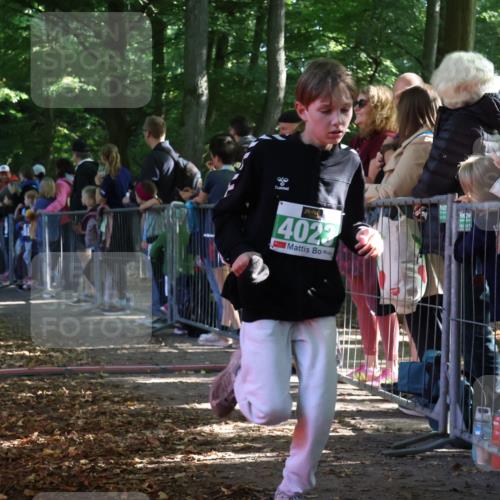 28.09.2025 - 33. Volkslauf durch das schöne Alstertal Strokosch-Dieckow http://msf.ph/oto/8961957 28.09.2025 10:56:59 Ziel 4023, 4055, 4186, 4187 meine-sportfotos.de