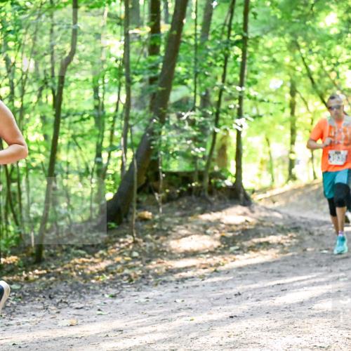 28.09.2025 - 33. Volkslauf durch das schöne Alstertal Dr. Thomas Lammeyer http://msf.ph/oto/8961968 28.09.2025 11:09:16 Laufen 3048 meine-sportfotos.de