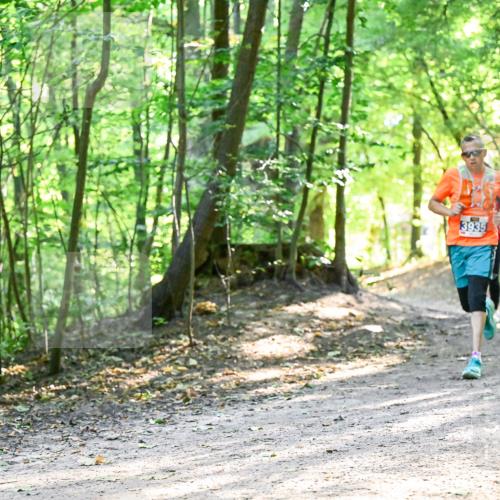 28.09.2025 - 33. Volkslauf durch das schöne Alstertal Dr. Thomas Lammeyer http://msf.ph/oto/8961969 28.09.2025 11:09:16 Laufen 6048, 3935 meine-sportfotos.de