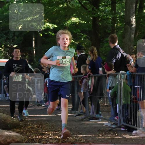 28.09.2025 - 33. Volkslauf durch das schöne Alstertal Strokosch-Dieckow http://msf.ph/oto/8961971 28.09.2025 10:57:01 Ziel 4044, 4045, 4055, 4186, 4187 meine-sportfotos.de