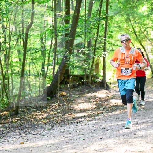 28.09.2025 - 33. Volkslauf durch das schöne Alstertal Dr. Thomas Lammeyer http://msf.ph/oto/8961974 28.09.2025 11:09:16 Laufen 3935, 31740, 3946 meine-sportfotos.de