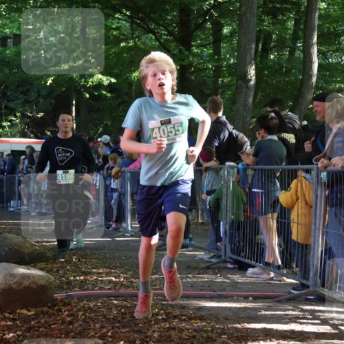 28.09.2025 - 33. Volkslauf durch das schöne Alstertal Strokosch-Dieckow http://msf.ph/oto/8961975 28.09.2025 10:57:02 Ziel 4044, 4045, 4055, 4060, 4186, 4187 meine-sportfotos.de