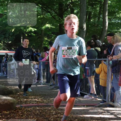 28.09.2025 - 33. Volkslauf durch das schöne Alstertal Strokosch-Dieckow http://msf.ph/oto/8961980 28.09.2025 10:57:02 Ziel 4044, 4045, 4055, 4060, 4186, 4187 meine-sportfotos.de