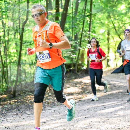28.09.2025 - 33. Volkslauf durch das schöne Alstertal Dr. Thomas Lammeyer http://msf.ph/oto/8961982 28.09.2025 11:09:17 Laufen 3935 meine-sportfotos.de