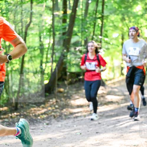 28.09.2025 - 33. Volkslauf durch das schöne Alstertal Dr. Thomas Lammeyer http://msf.ph/oto/8961986 28.09.2025 11:09:18 Laufen 3935 meine-sportfotos.de