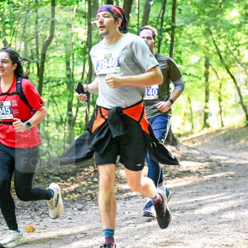 28.09.2025 - 33. Volkslauf durch das schöne Alstertal Dr. Thomas Lammeyer http://msf.ph/oto/8961994 28.09.2025 11:09:19 Laufen 3945, 3946, 140 meine-sportfotos.de